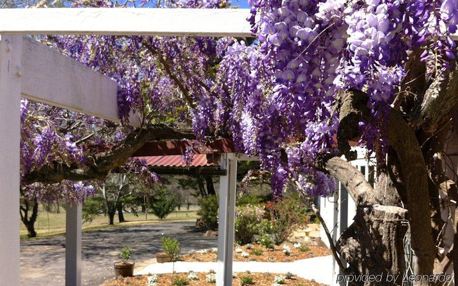 Moore Park Inn Armidale Exterior photo